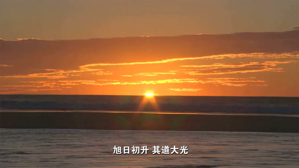 山东金贝丰企业宣传片