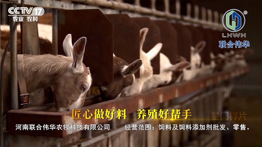 联合伟华央视企业宣传片