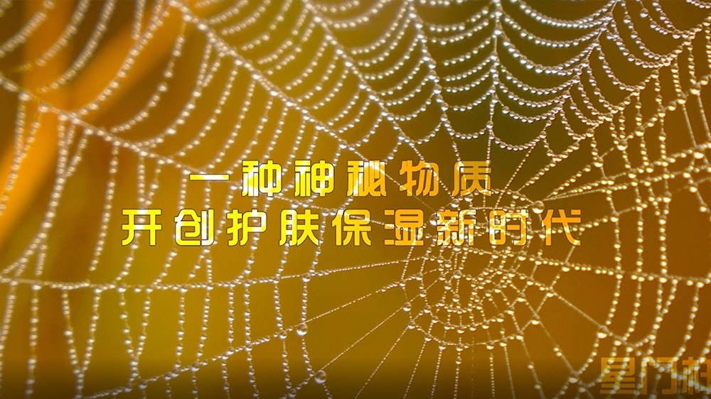 西安莎莱企业宣传片