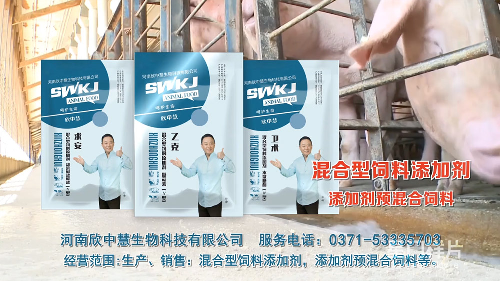 明星代言欣中慧央视广告